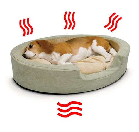 Heated Pet Beds That'll Keep Your Dogs and Cats Toasty All Winter Long