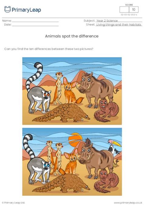 Science: Polar bear spot the difference | Worksheet | PrimaryLeap.co.uk