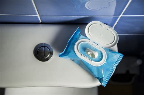 Safe and Unsafe Flushable Toilet Paper Alternatives