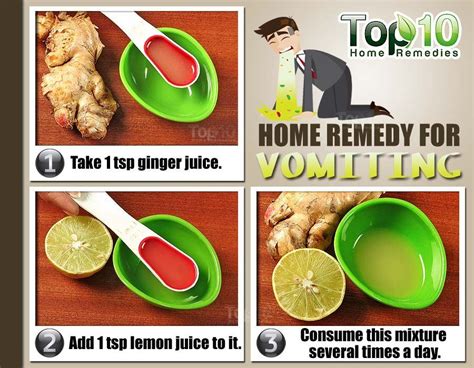 Home Remedies for Vomiting | Top 10 Home Remedies