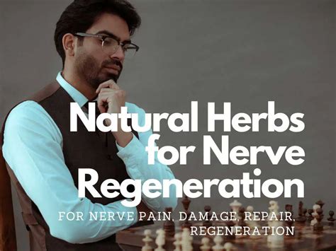 Natural Herbs & Supplements for Nerve Pain, Damage, Repair, Regeneration