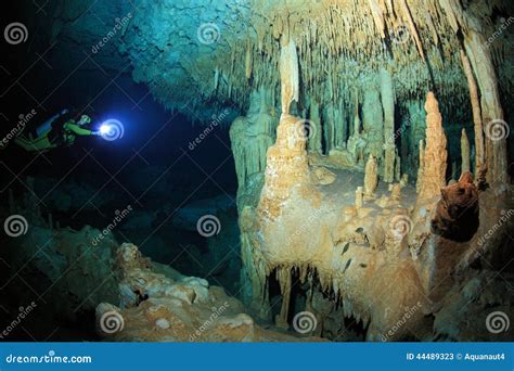 Cave Diving in the Cenote Underwater Cave Stock Image - Image of fresh ...