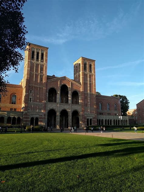 ucla, sunset, architecture, built structure, building exterior, plant ...