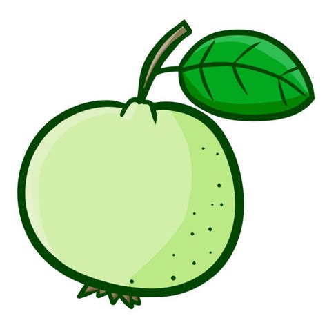 Ripe Cartoon Green Guava Fruit Illustrations, Royalty-Free Vector ...