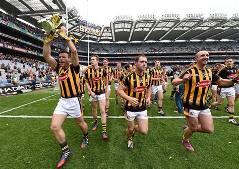 Kilkenny dominate our combined Leinster hurling team of the last two ...