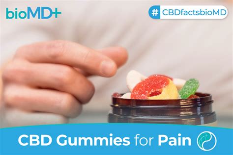 Best CBD Gummies for Pain That Actually Work Fast January 2024