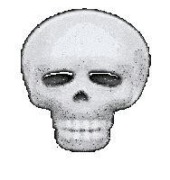 Skeleton Meme Sticker - Skeleton meme - Discover & Share GIFs