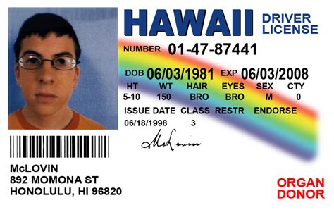 MCLOVIN FAKE ID CARD - Superbad Super Bad Fogell HI Hawaii Prop Drivers ...