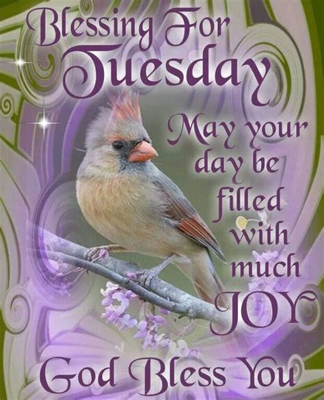 Tuesday Blessings Quotes. QuotesGram