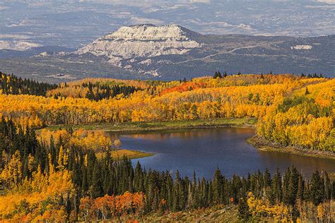 Fall Colors On Grand Mesa Photograph by Lowell Monke