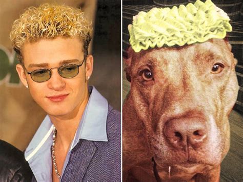 Celebrities and Their Dog Look-Alikes