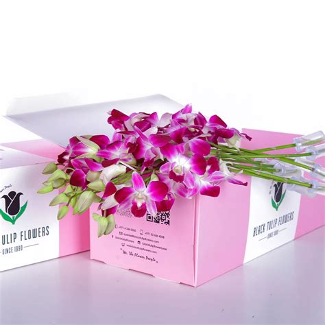 Buy Orchids Dendrobium Purple in Pink Box | Florist Dubai