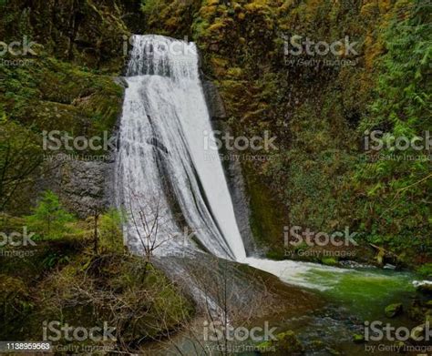 Oregons Wolf Creek Falls Stock Photo - Download Image Now - Umpqua ...