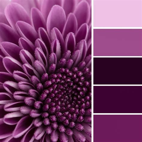 What Are Monochromatic Color Schemes? Decorating and Designing With One ...