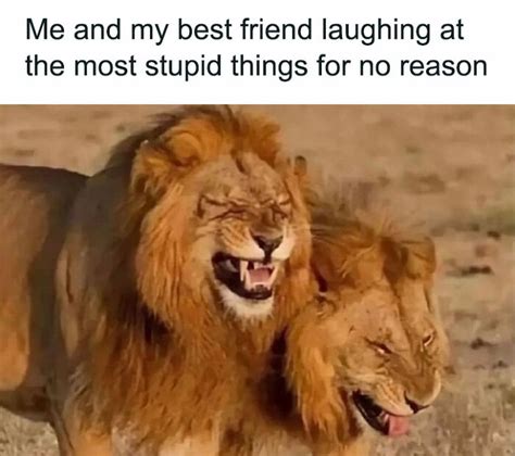 50 Friendship Memes To Share With Your Best Friend | Bored Panda