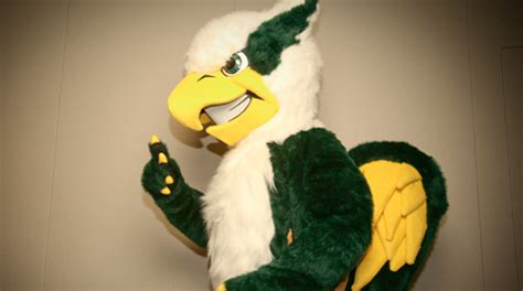 'Get me the Griffin': William & Mary Announces New Mascot | W&M News ...