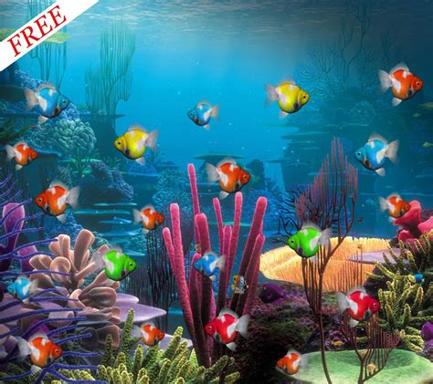 🔥 [40+] Aquarium Live Wallpapers for PC | WallpaperSafari