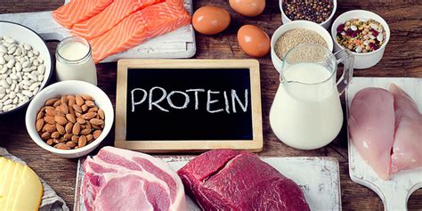 33 Best High Protein Foods For Weight Loss