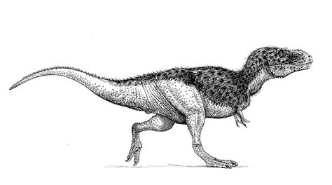 Albertosaurus by pheaston on DeviantArt