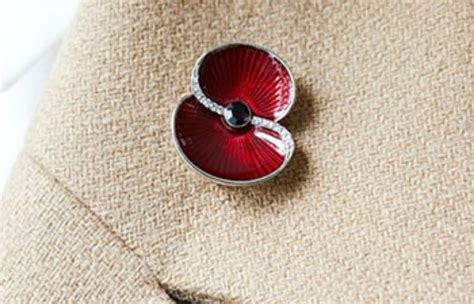 Graduate wins competition to design new Royal British Legion poppy ...