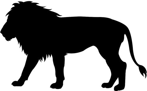 African Lion Silhouette | Free vector silhouettes