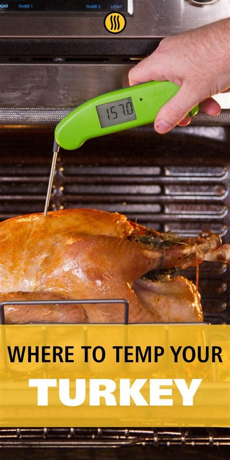 How to Cook a Turkey: Turkey Temperature & Doneness | Recipe | Temp to ...