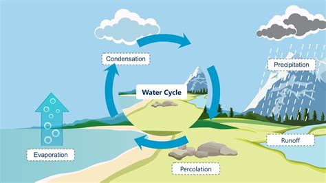 Percolation Water Cycle Definition