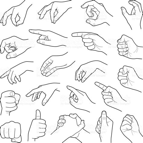 Hand collection - vector line illustration | Hand drawing reference ...