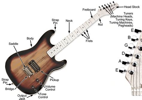 Parts Of An Electric Guitar Diagram