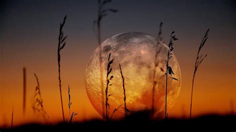 20+ Collection of Mesmerizing Moon Backgrounds | Design Trends ...