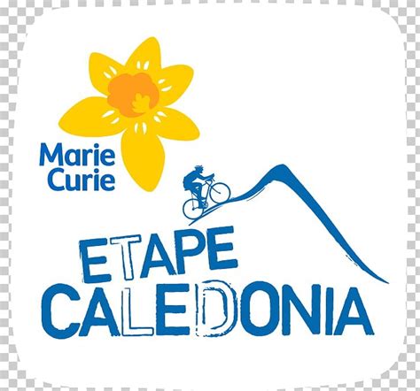 Glasgow Marie Curie Charity Shop Penarth Fundraising Charitable ...