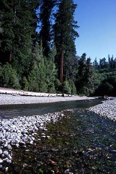 Redwood National Park