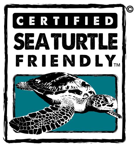 Wildlife Friendly Enterprise Network » Blog Archive » sea-turtle ...