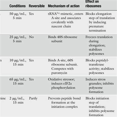 Protein synthesis inhibitors | Download Table