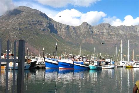 About Hout Bay Harbour in Hout Bay