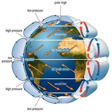 Wind and Ocean Currents | Sutori | Trade wind, Teaching science, Ocean ...