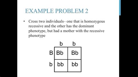 Genetic Practice Problems Punnett Squares