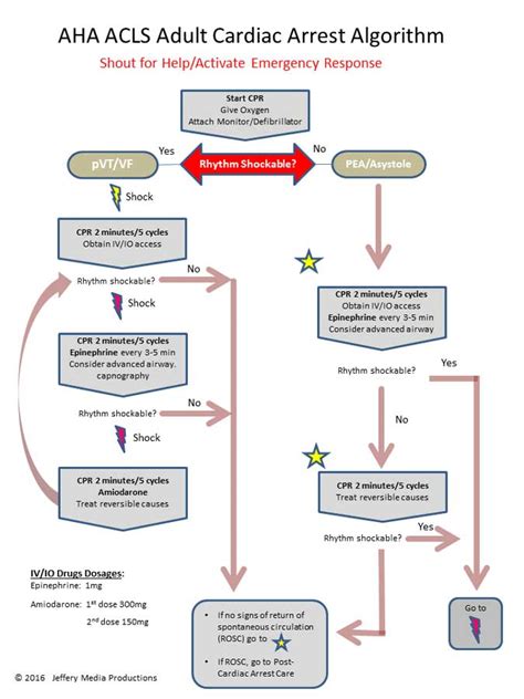 Ventricular fibrillation | ACLS-Algorithms.com