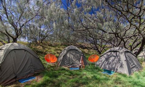 Fraser Island Camping - QLD Travel