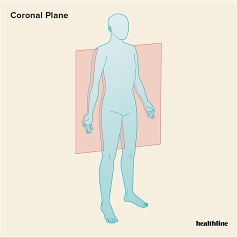 The 3 Anatomical Body Planes and The Movements In Each