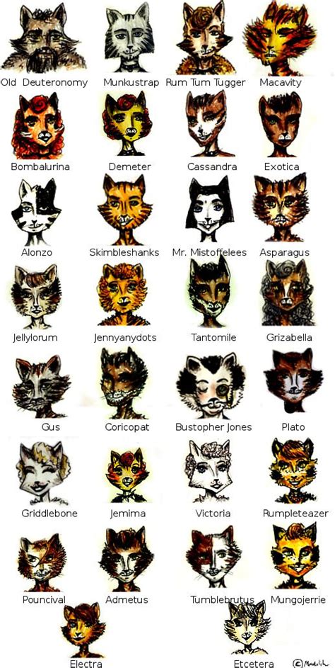 Cats Musical Characters Movie – Idalias Salon