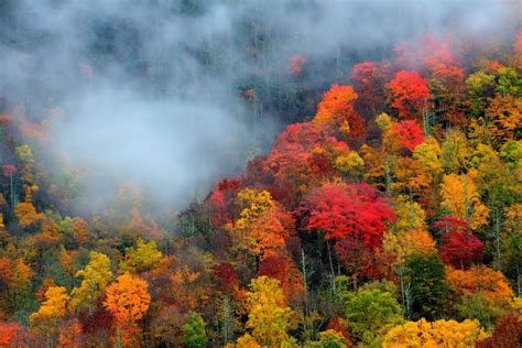 Smoky Mountain Fall Foliage