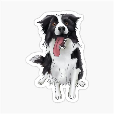 "Cute Smiling Black and White Border Collie Drawing | For Boarder ...