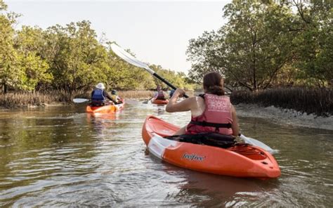 All About Eastern Mangrove Kayaking Abu Dhabi - MyBayut