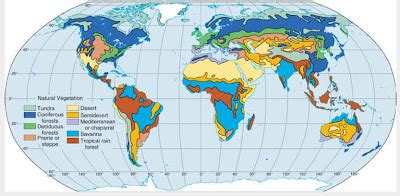 The geography classroom: Natural vegetation(Introduction) Read this first!