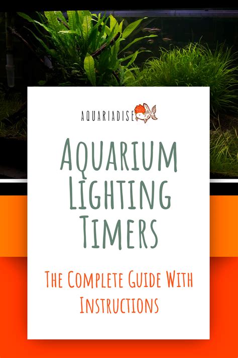 Aquarium Lighting Timers: The Most Reliable Ones Available