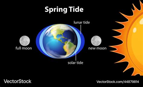 Spring Tide Dates 2024 - Aubry Candice