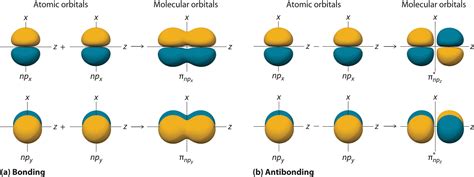 Identify The Orbital Shown Below