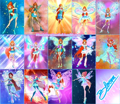 Blue Fairy / Winx Club | Bloom in all her transformations, including ...