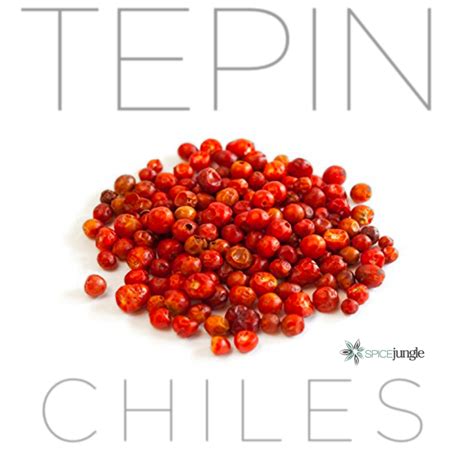 Chiltepin Pepper Scoville | ubicaciondepersonas.cdmx.gob.mx